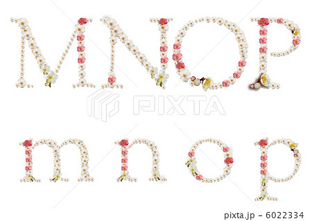飾り文字 梅の花 Mnopの写真素材 6022334 Pixta