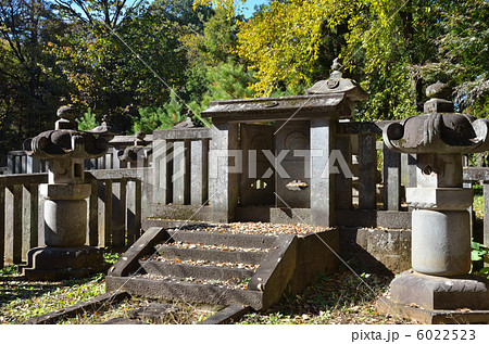 武蔵野散歩・大河内松平家廟所 平林寺 武蔵野散歩・大河内松平家廟所 平林寺 6022523