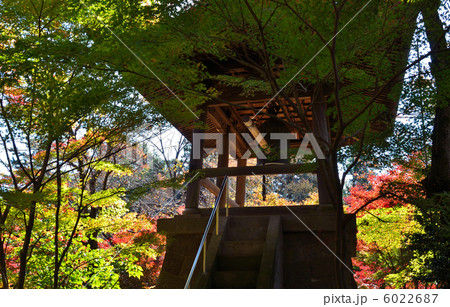 武蔵野散歩・鐘楼 平林寺 武蔵野散歩・鐘楼 平林寺 6022687