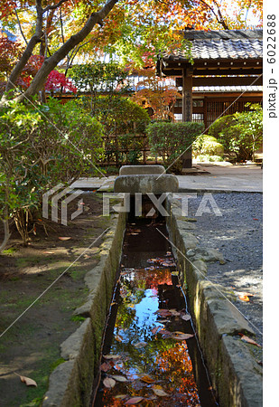 武蔵野散歩・庫裏と野火止用水 平林寺 武蔵野散歩・庫裏と野火止用水 平林寺 6022688