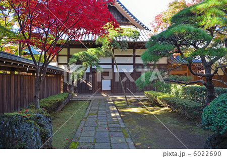 武蔵野散歩・　平林寺 6022690