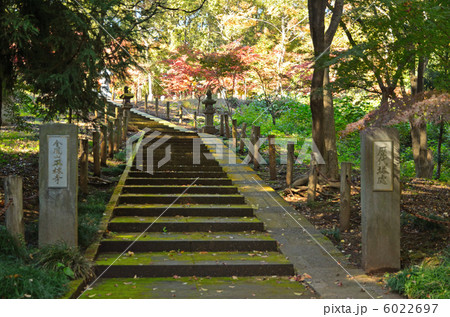 武蔵野散歩 歴代塔所 平林寺の写真素材