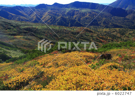 ウコンウツギの紅葉と山岳風景 6022747