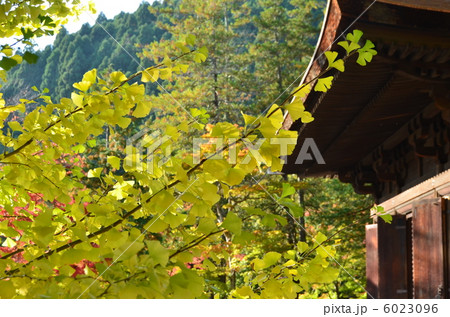 白水阿弥陀堂 6023096