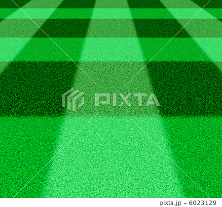 短い芝 6023129
