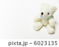 白いテディベア・白くま・白熊・白クマ・シロクマ 6023135