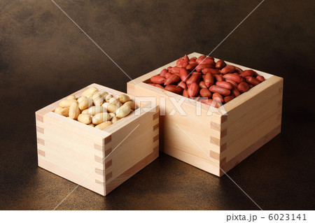 ピーナッツ 6023141