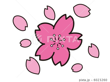 桜の花と花びら 桜の花と花びら 6023260