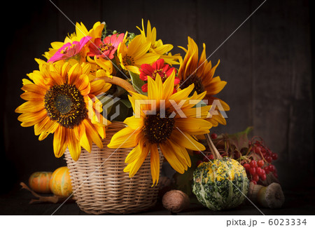 Still life in colours of autumn Still life in colours of autumn 6023334