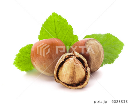 Hazelnuts isolated 6023338