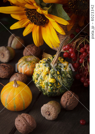 Still life in colours of autumn 6023342