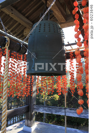松源寺の鐘楼と干し柿 6023646