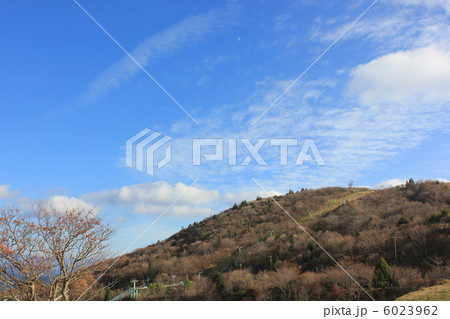 晩秋の茶臼山高原 晩秋の茶臼山高原 6023962
