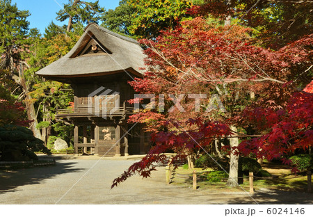 武蔵野散歩・平林寺山門 武蔵野散歩・平林寺山門 6024146