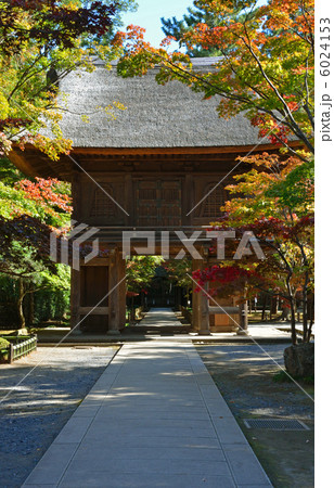 武蔵野散歩・平林寺山門 武蔵野散歩・平林寺山門 6024153