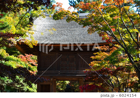 武蔵野散歩・平林寺山門 武蔵野散歩・平林寺山門 6024154