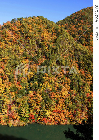 天龍村の紅葉と天竜川 天龍村の紅葉と天竜川 6024173