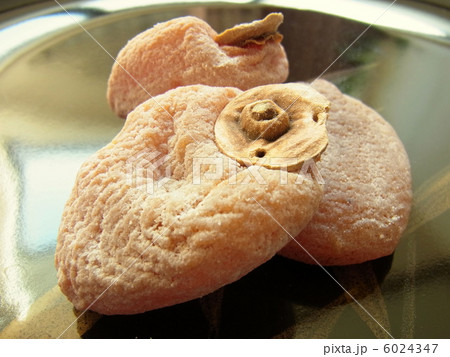 干し柿　市田柿 6024347