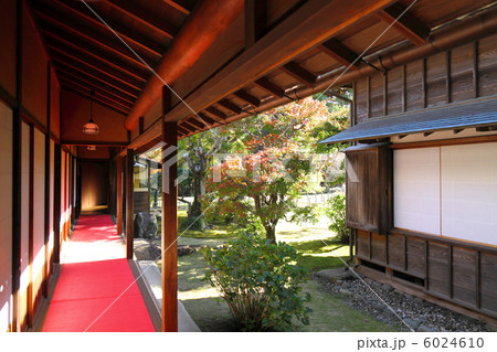 武家屋敷の縁側と紅葉 武家屋敷の縁側と紅葉 6024610