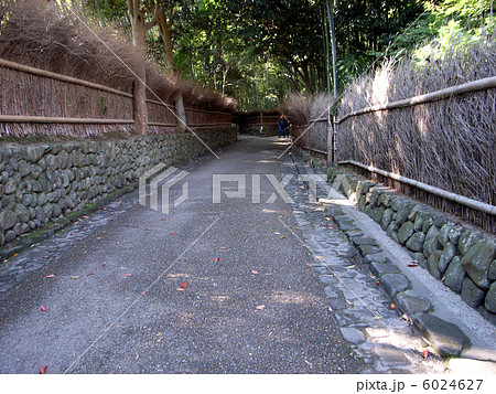 小路 小路 6024627
