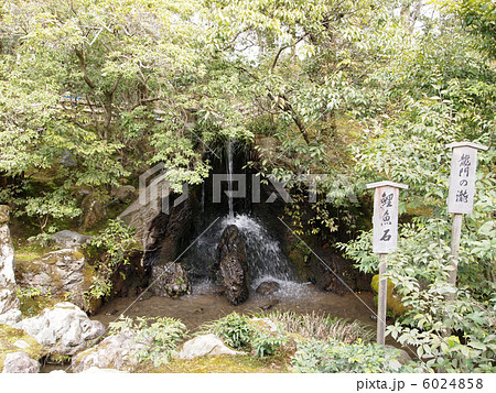 世界遺産　京都　金閣寺　龍門の滝と鯉魚石 6024858