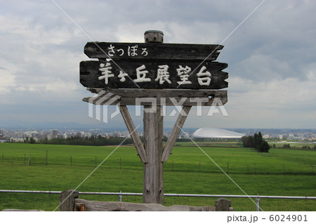 札幌　羊が丘展望台 6024901