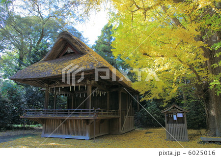 玉敷神社 神楽殿-騎西にて 玉敷神社 神楽殿-騎西にて 6025016