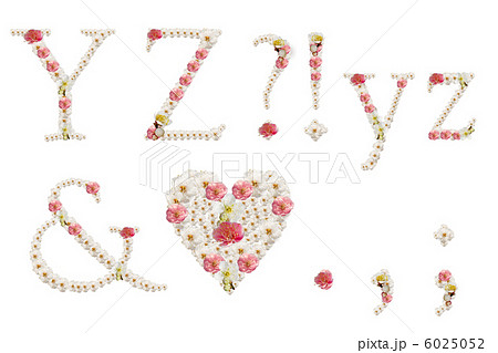 飾り文字 梅の花 Yz 記号の写真素材
