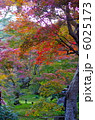 宝厳院の紅葉 6025173