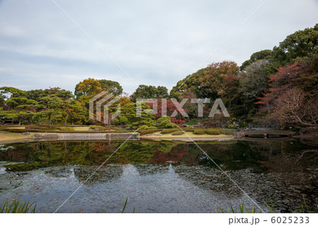 皇居二の丸庭園 6025233