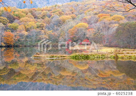 戸隠鏡池の紅葉 6025238