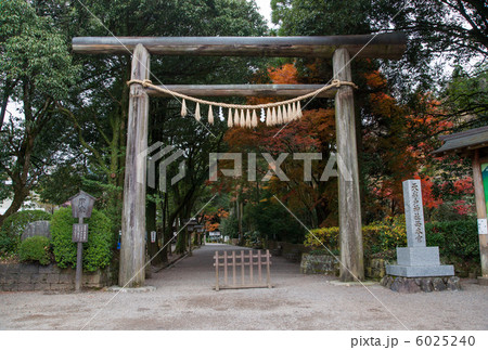 天の岩戸神社鳥居 6025240