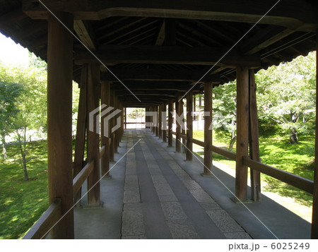 京都　東福寺 6025249