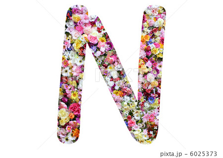 花のアルファベット 6025373