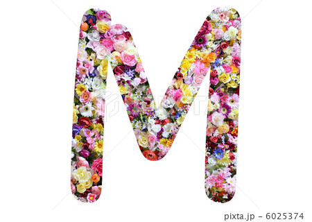 花のアルファベット 6025374