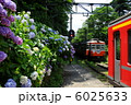 あじさいと箱根電車 6025633