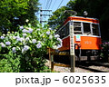 あじさいと箱根電車 6025635
