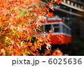 紅葉と登山電車 6025636