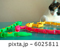 猫とヘビのおもちゃ 6025811