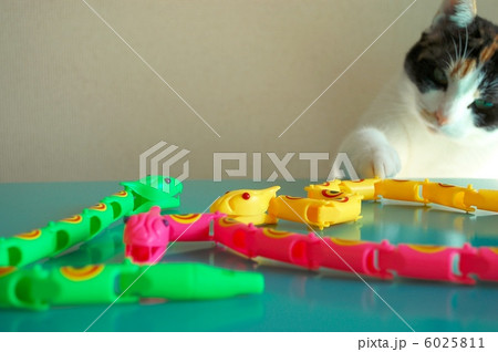 猫とヘビのおもちゃの写真素材