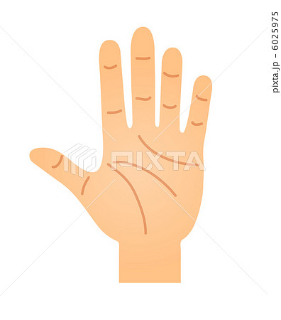 手相占い 手相占い 6025975