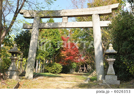 秋の豊原北島神社の鳥居　岡山県瀬戸内市 6026353