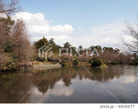 世界遺産 京都 龍安寺 世界遺産 京都 龍安寺 6026677