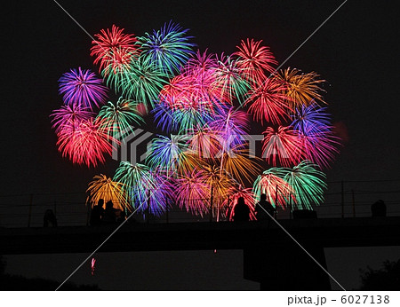 鴻巣花火 6027138