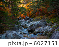 秋、深く 6027151