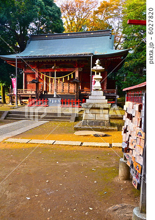 三芳野神社・権現造の拝殿(埼玉県川越市郭町) 三芳野神社・権現造の拝殿(埼玉県川越市郭町) 6027820