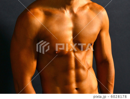 筋肉 筋肉 6028178