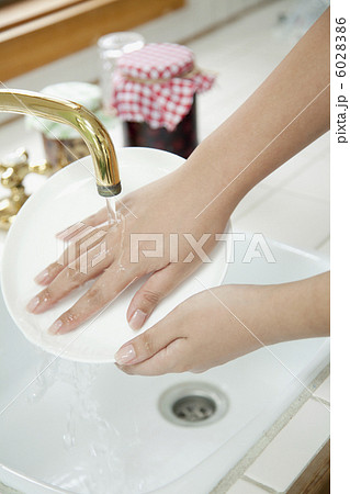 食器を洗う手 6028386