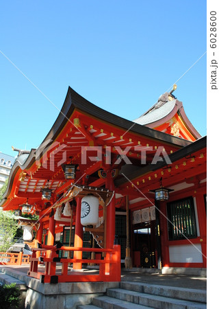 生田神社の本殿です。（神戸市中央区） 6028600