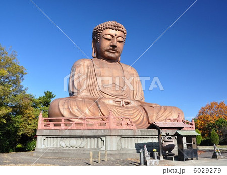 聚楽園大仏 6029279